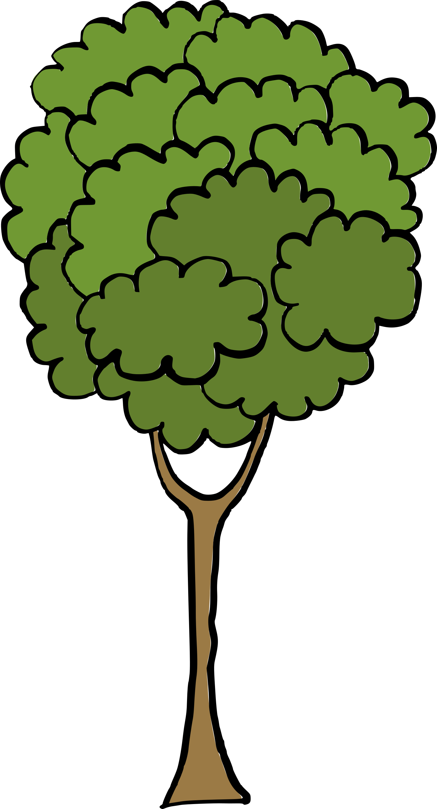 Cartoon Tree Transparent Background