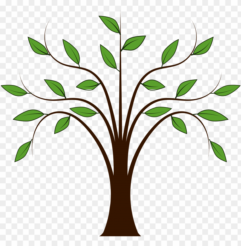 Cartoon Tree Transparent Background