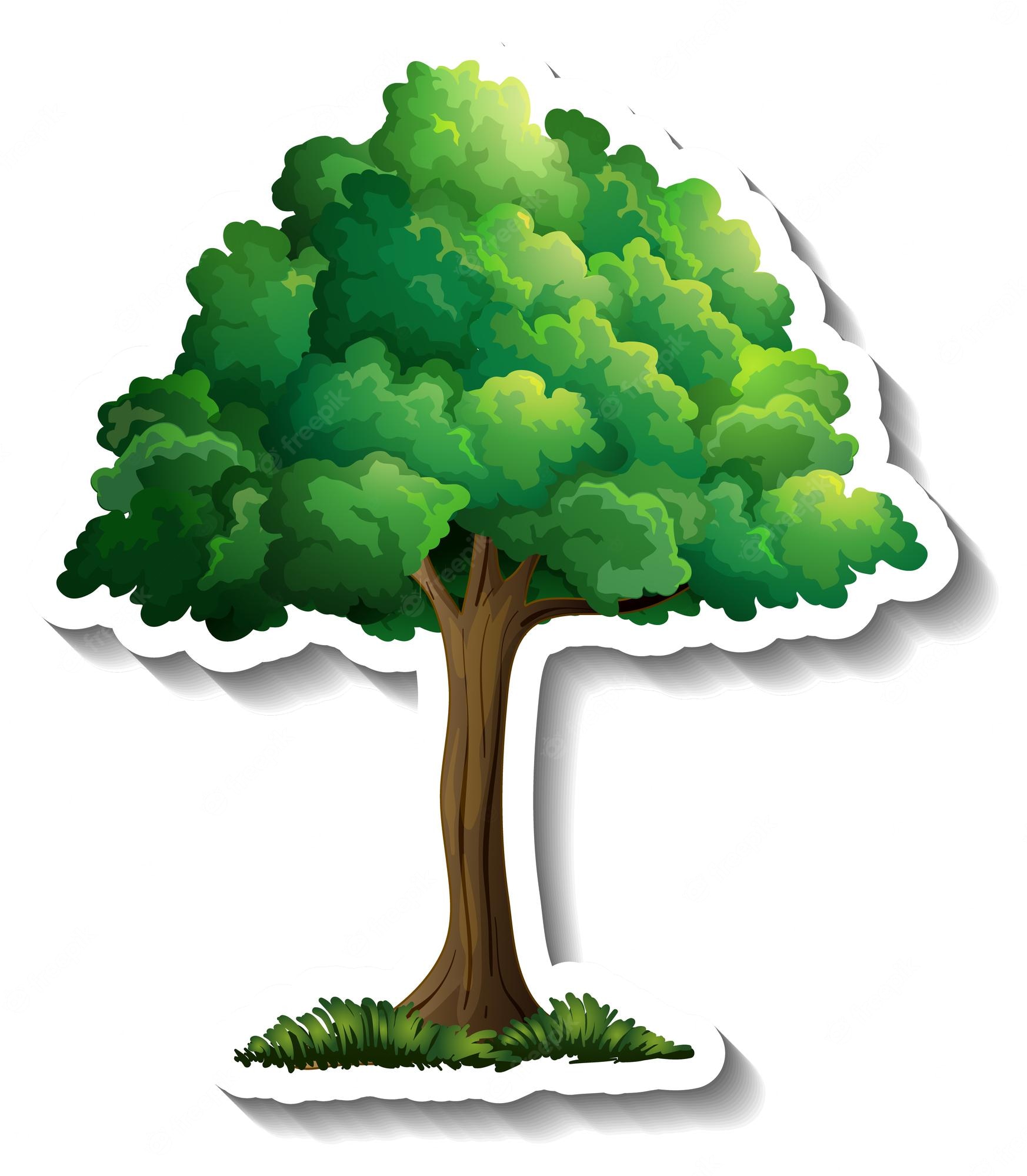 Cartoon Tree Transparent Background