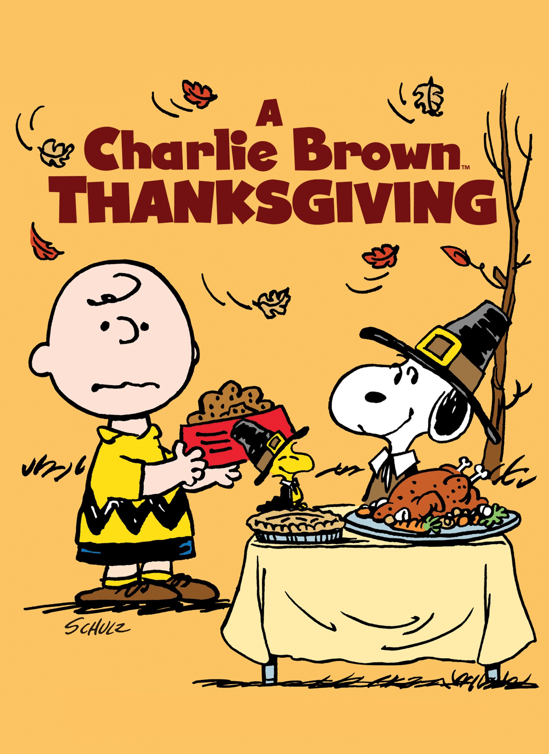 Charlie Brown Thanksgiving Background