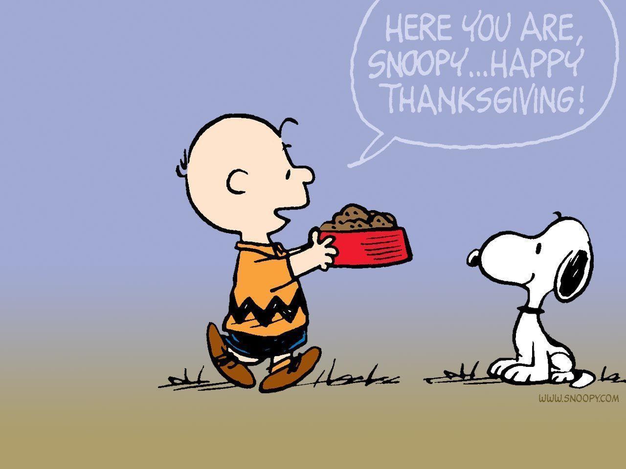 Charlie Brown Thanksgiving Background