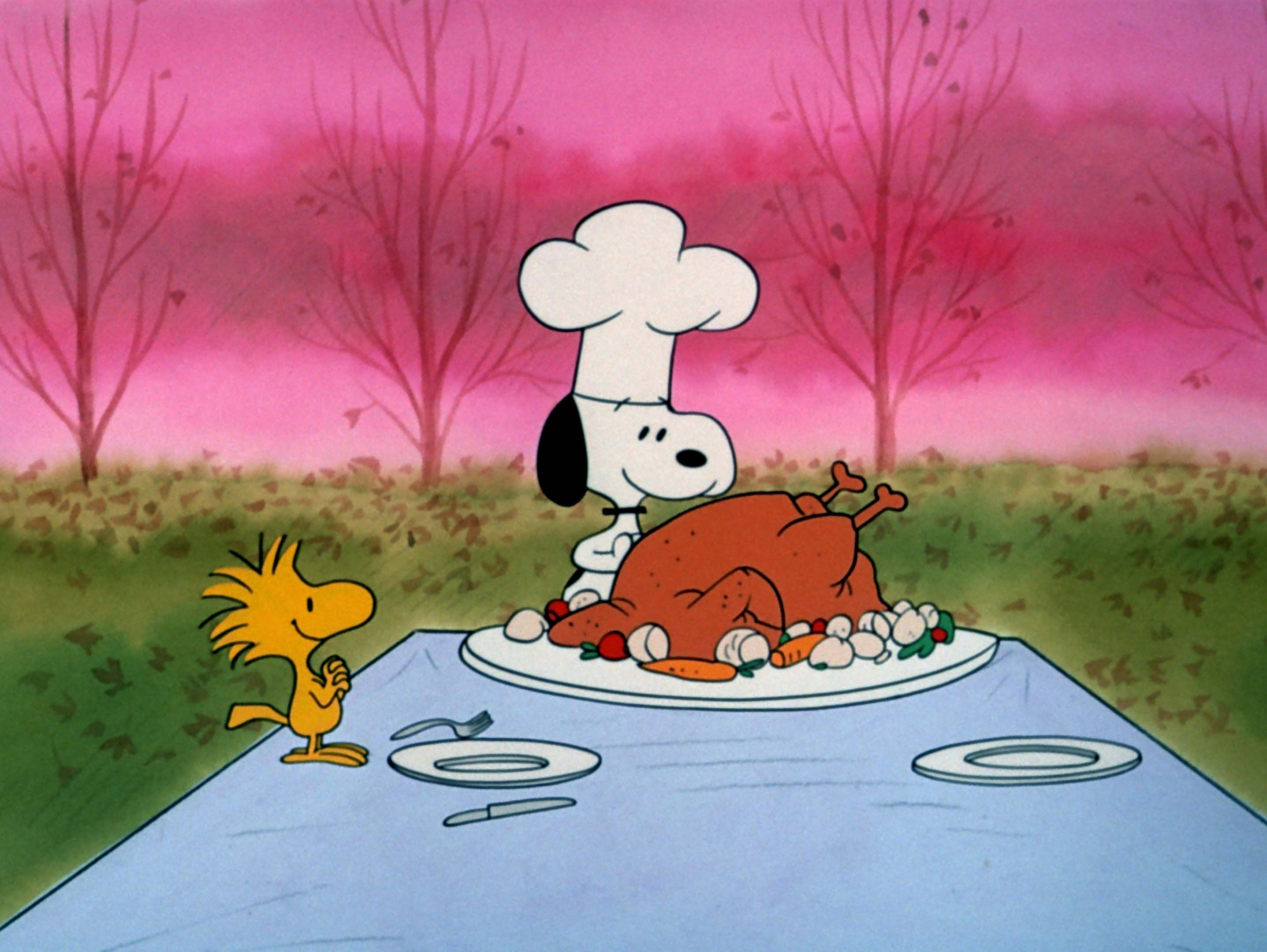 Charlie Brown Thanksgiving Background