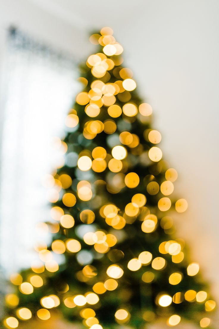 Christmas Tree Lights Backgrounds