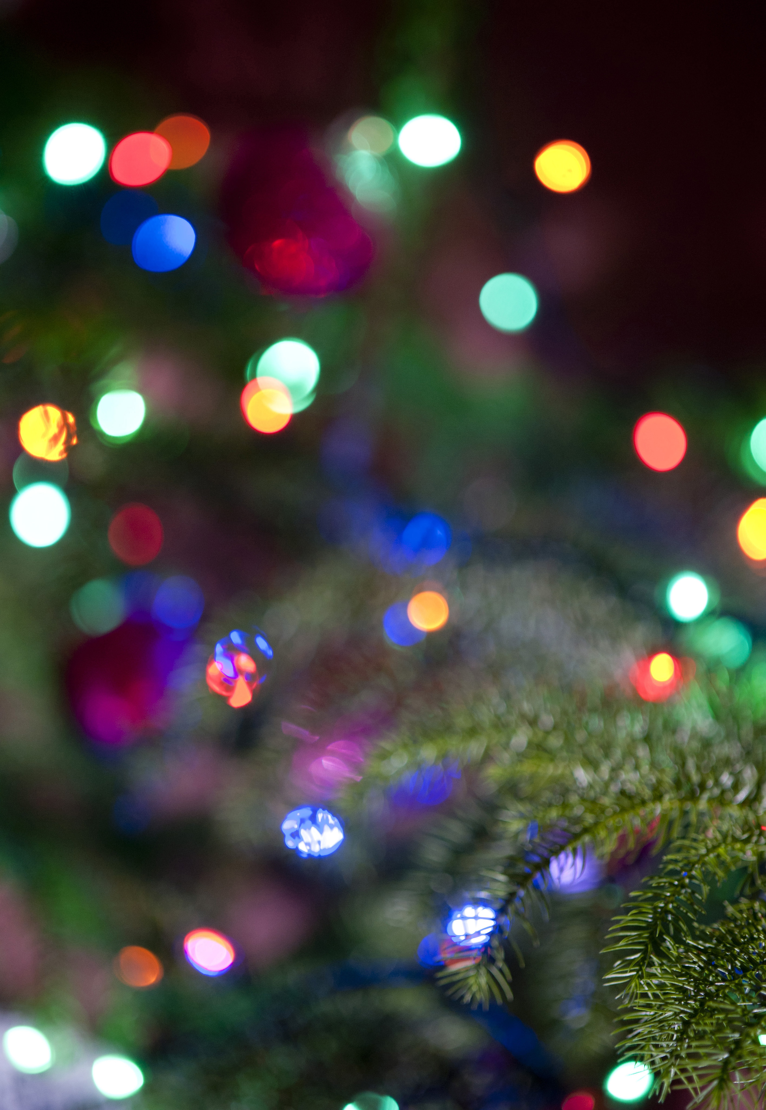 Christmas Tree Lights Backgrounds