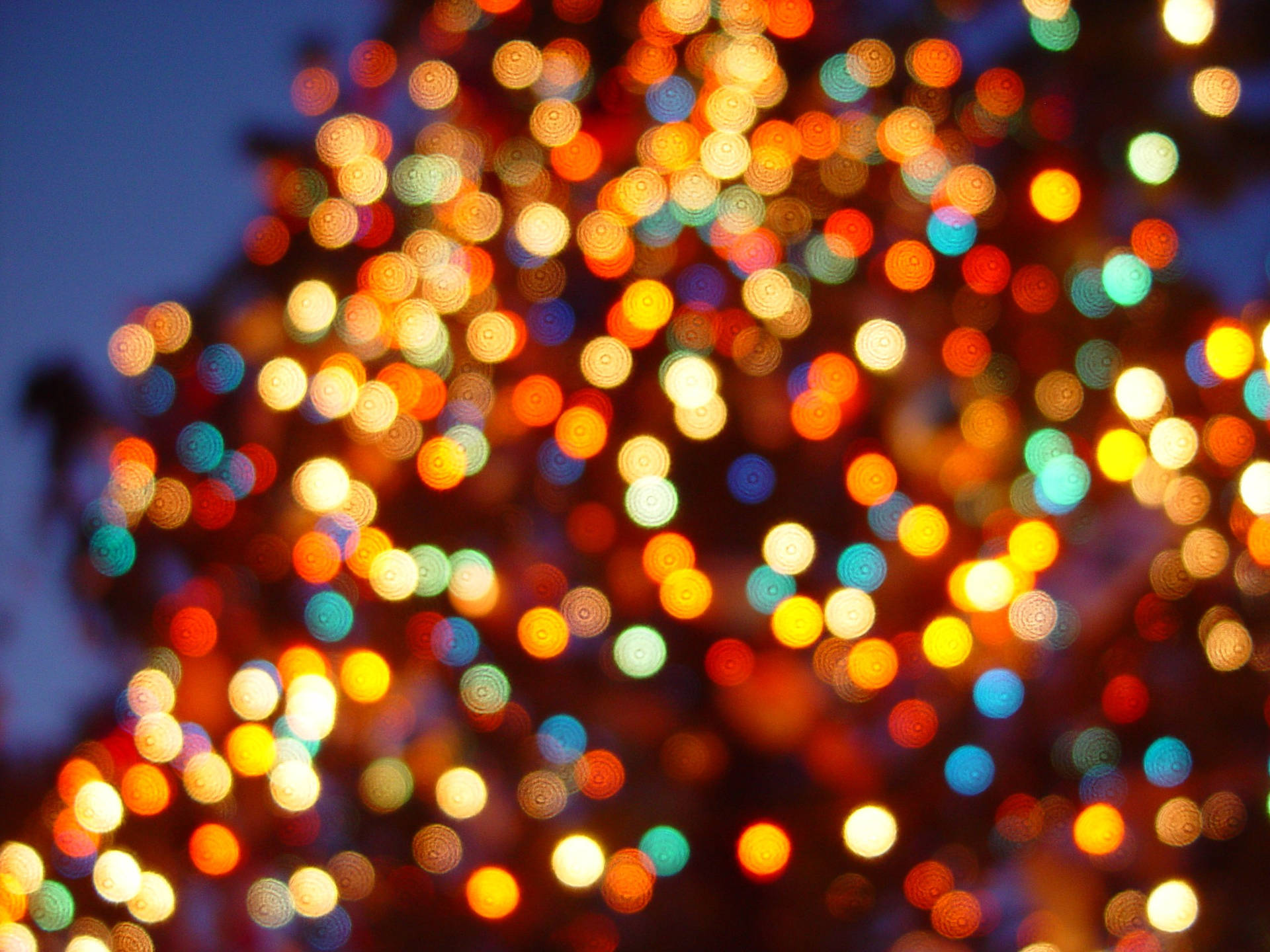 Christmas Tree Lights Backgrounds