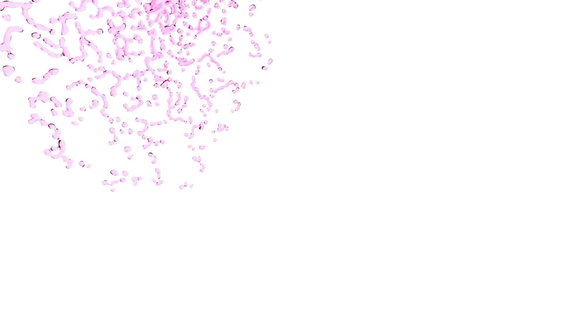 Color White Background Hd