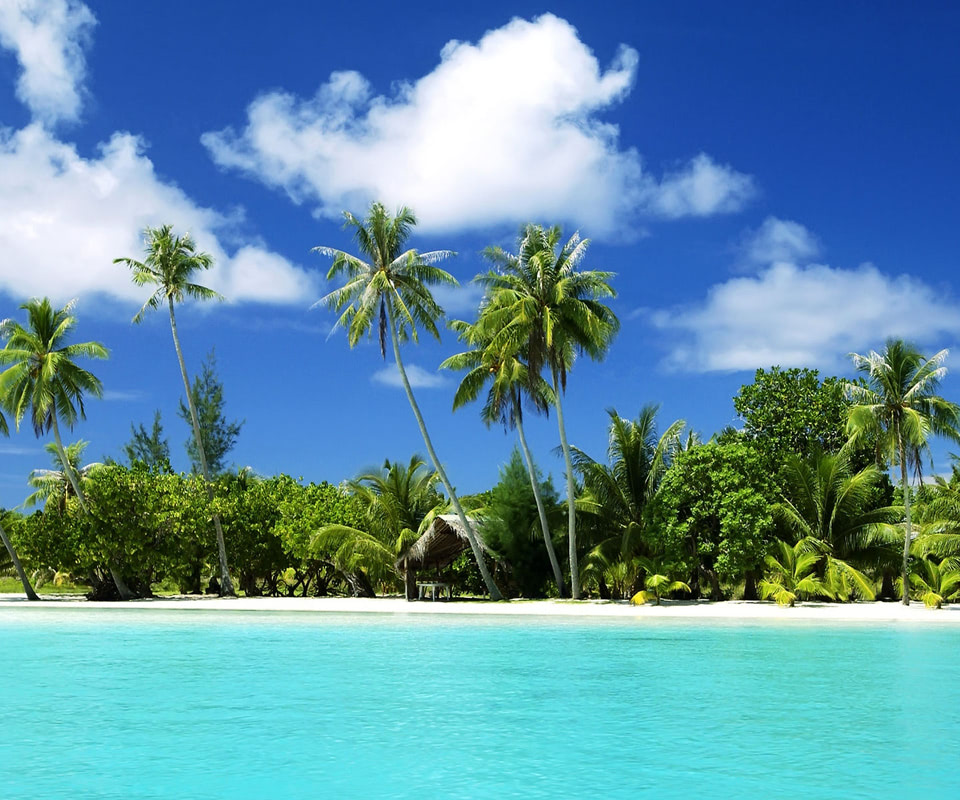 Cool Tropical Backgrounds