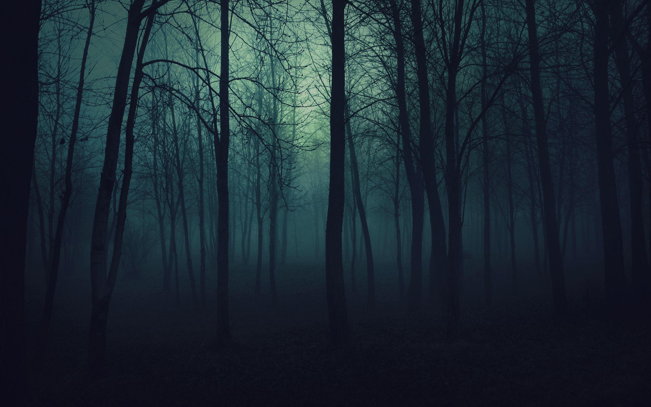 Creepy Forest Background