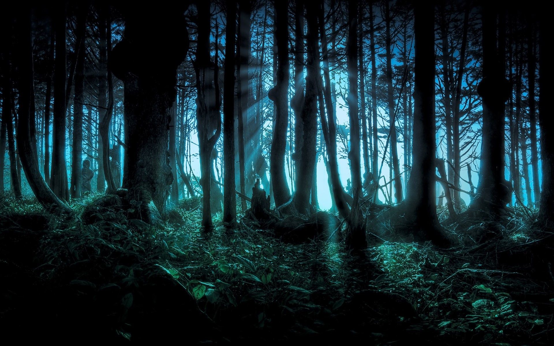 Creepy Forest Background