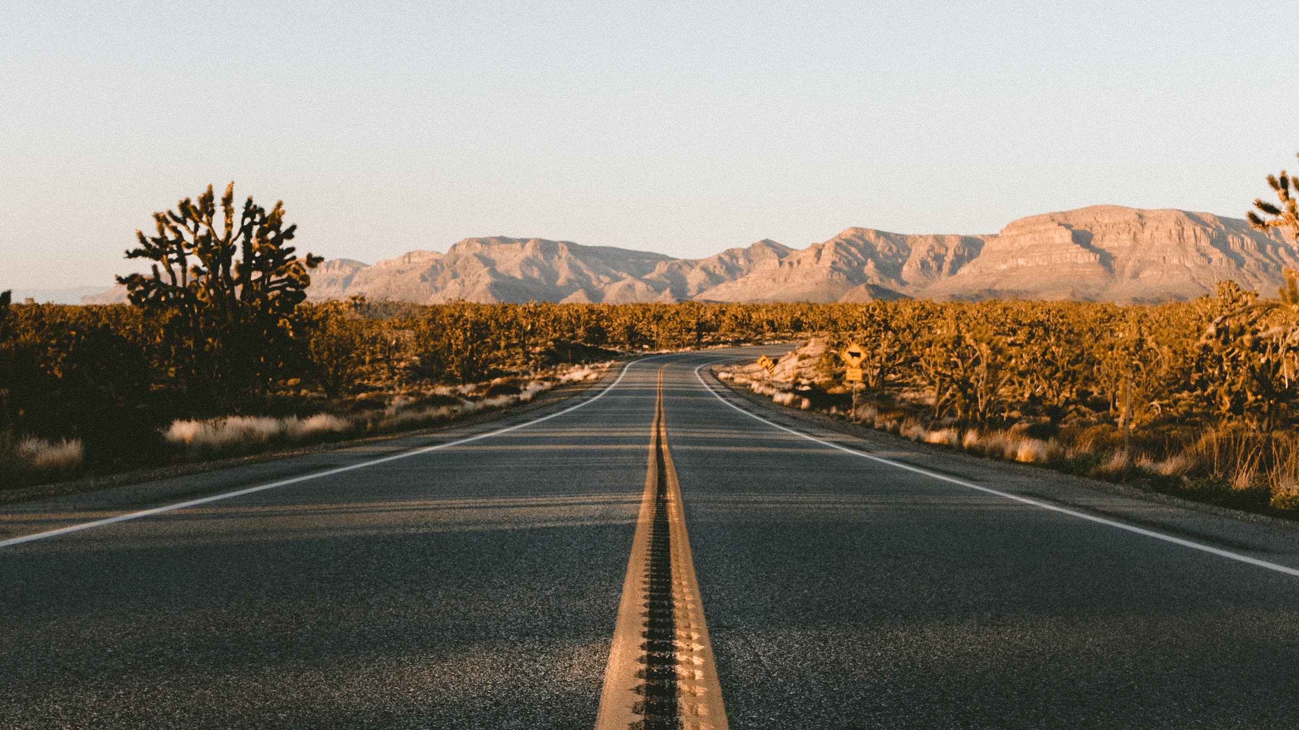 Desert Road Background