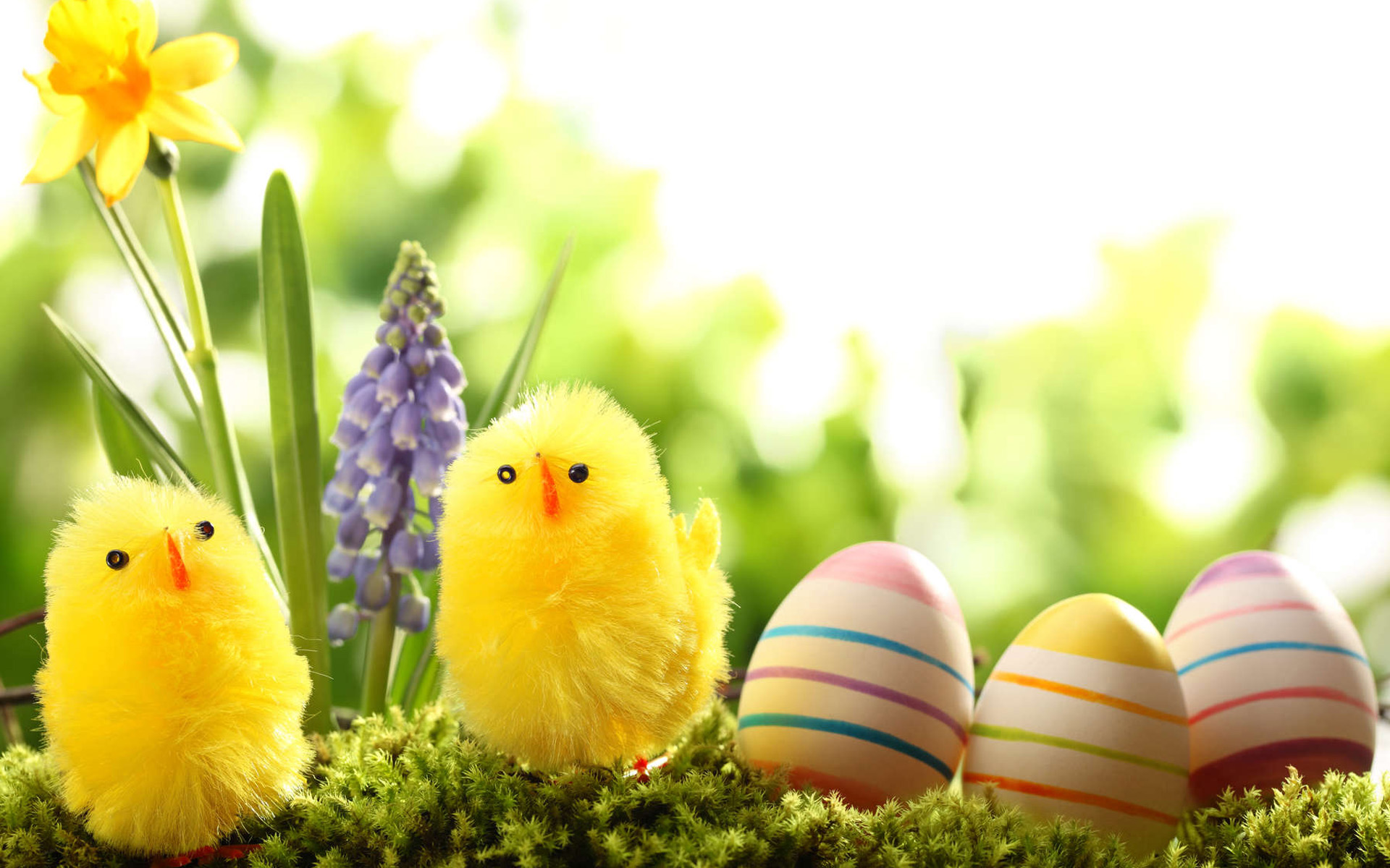 Easter 2016 Backgrounds