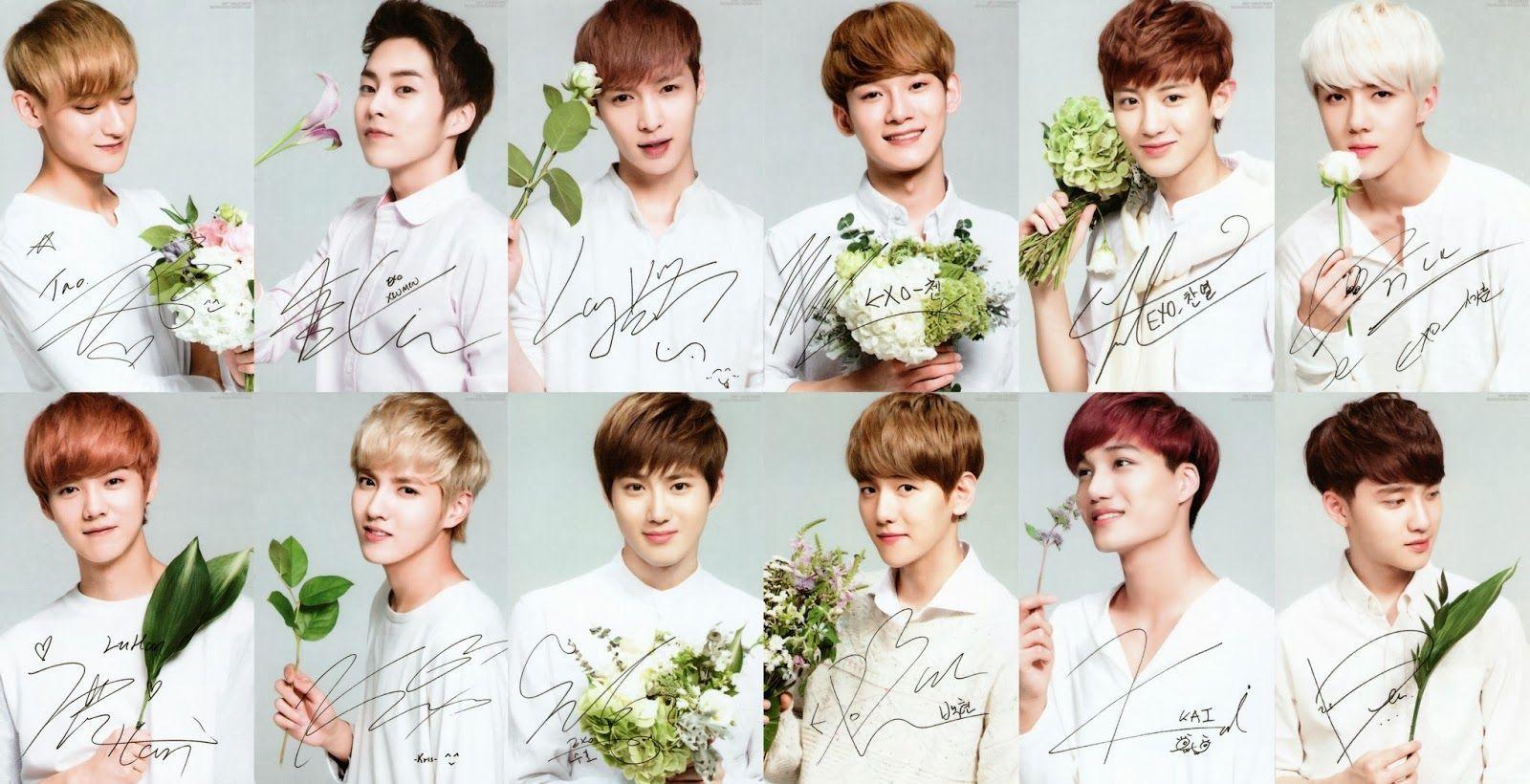 Exo Backgrounds