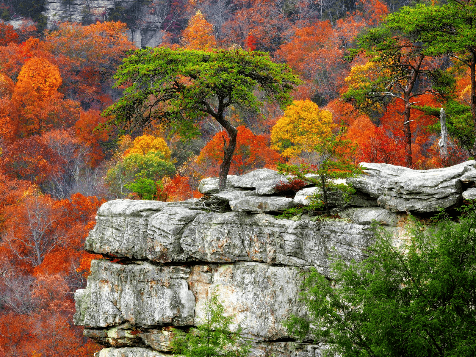 Fall Mountain Desktop Backgrounds