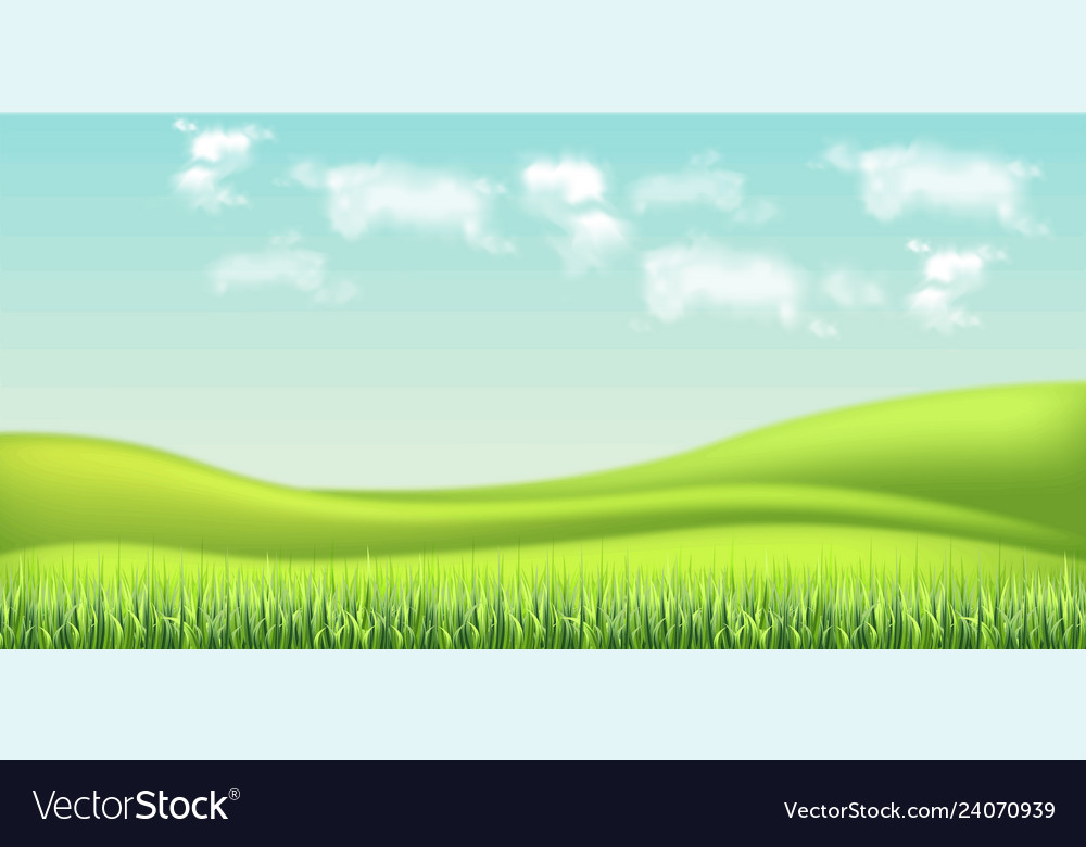 Field And Sky Background