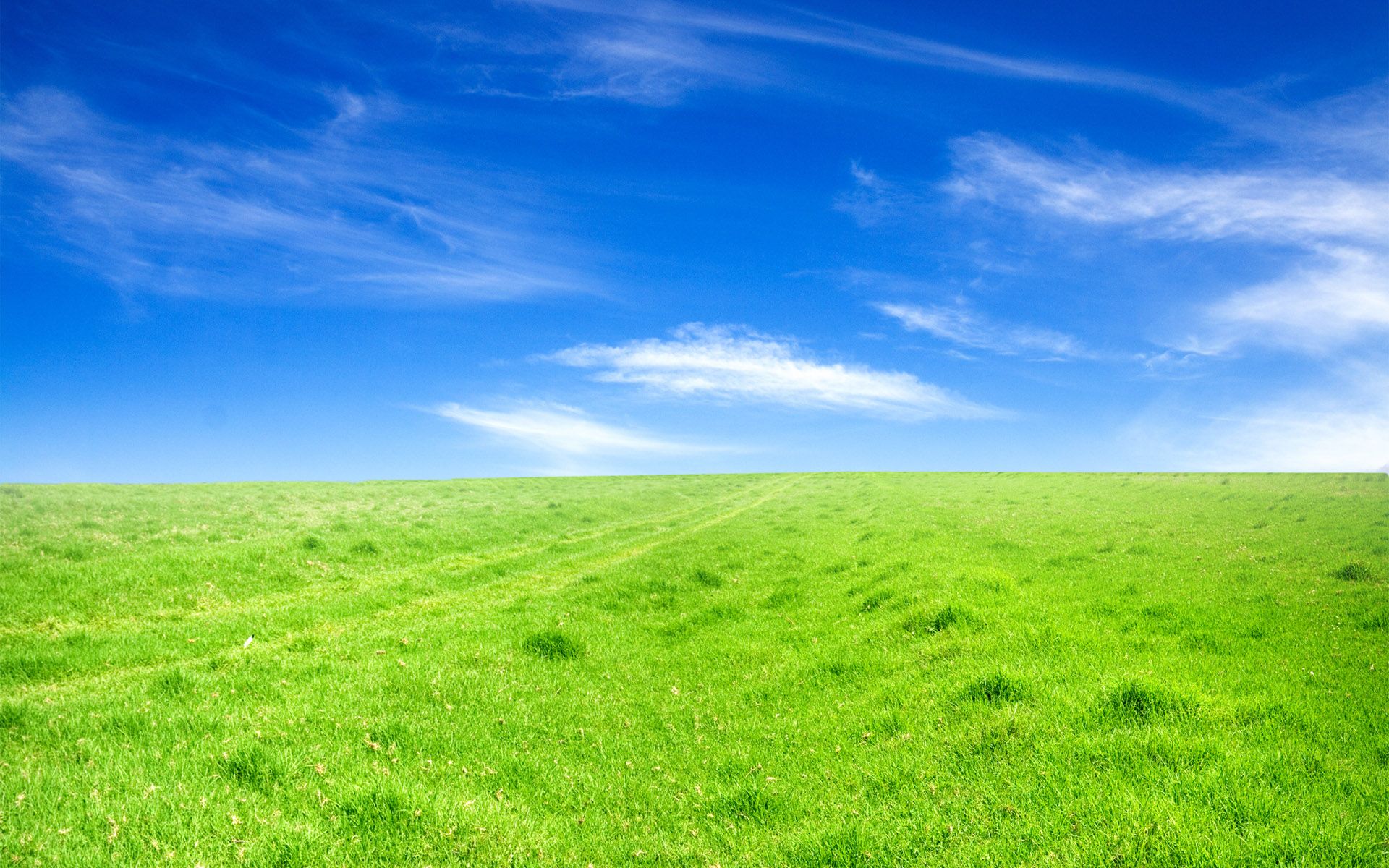 Field And Sky Background