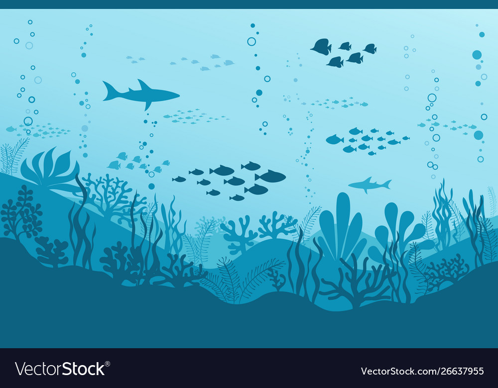 Fish Background