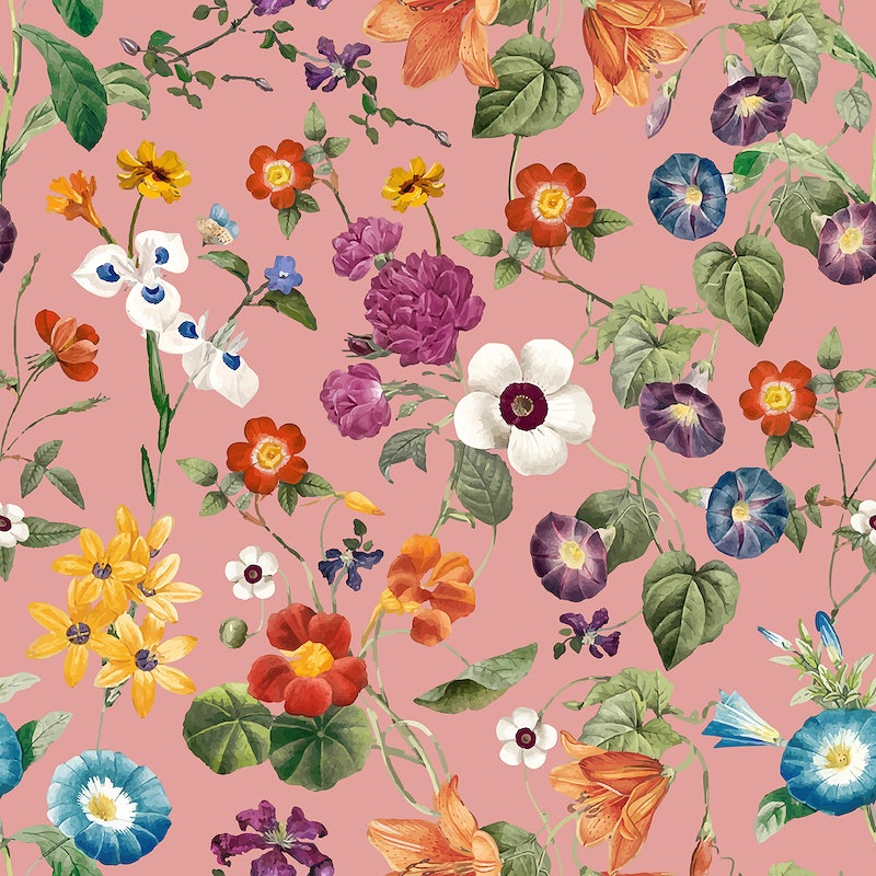 Floral Illustration Background