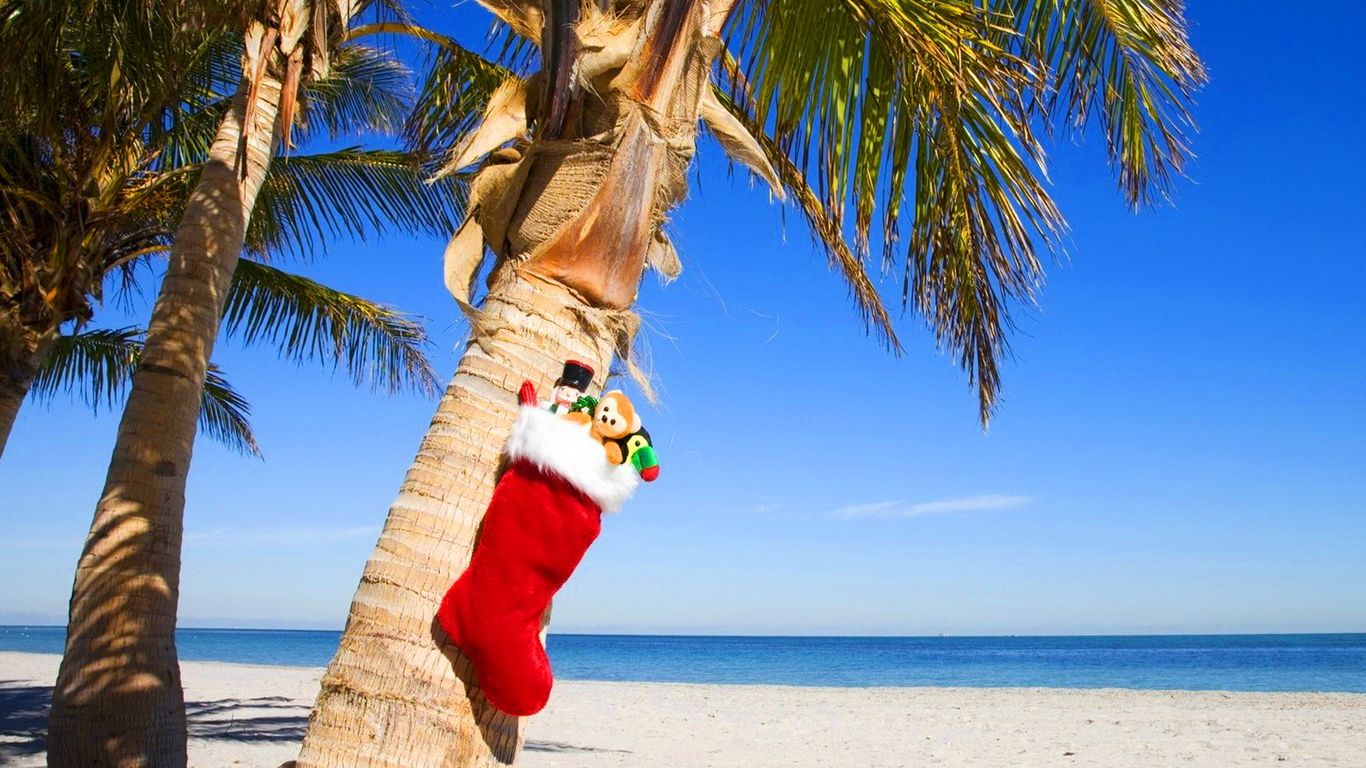 Florida Christmas Background
