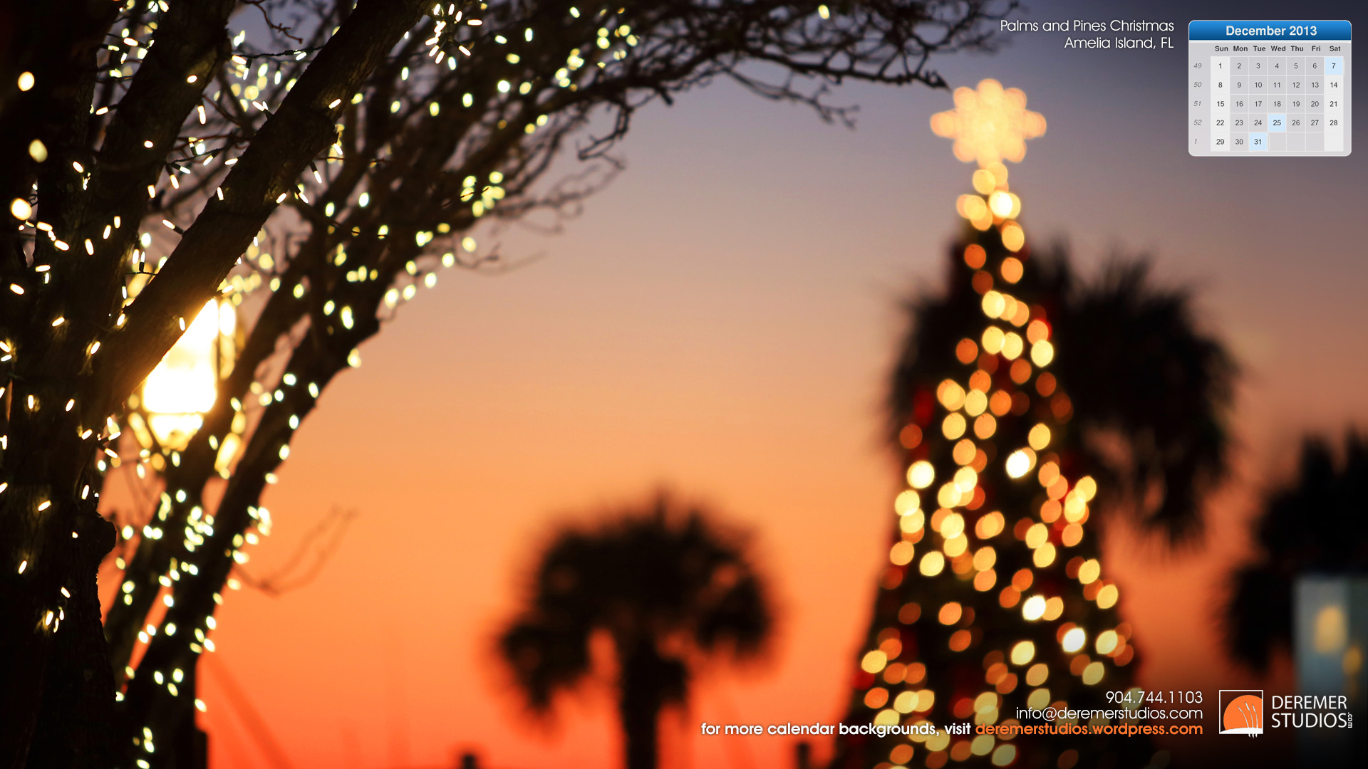 Florida Christmas Background