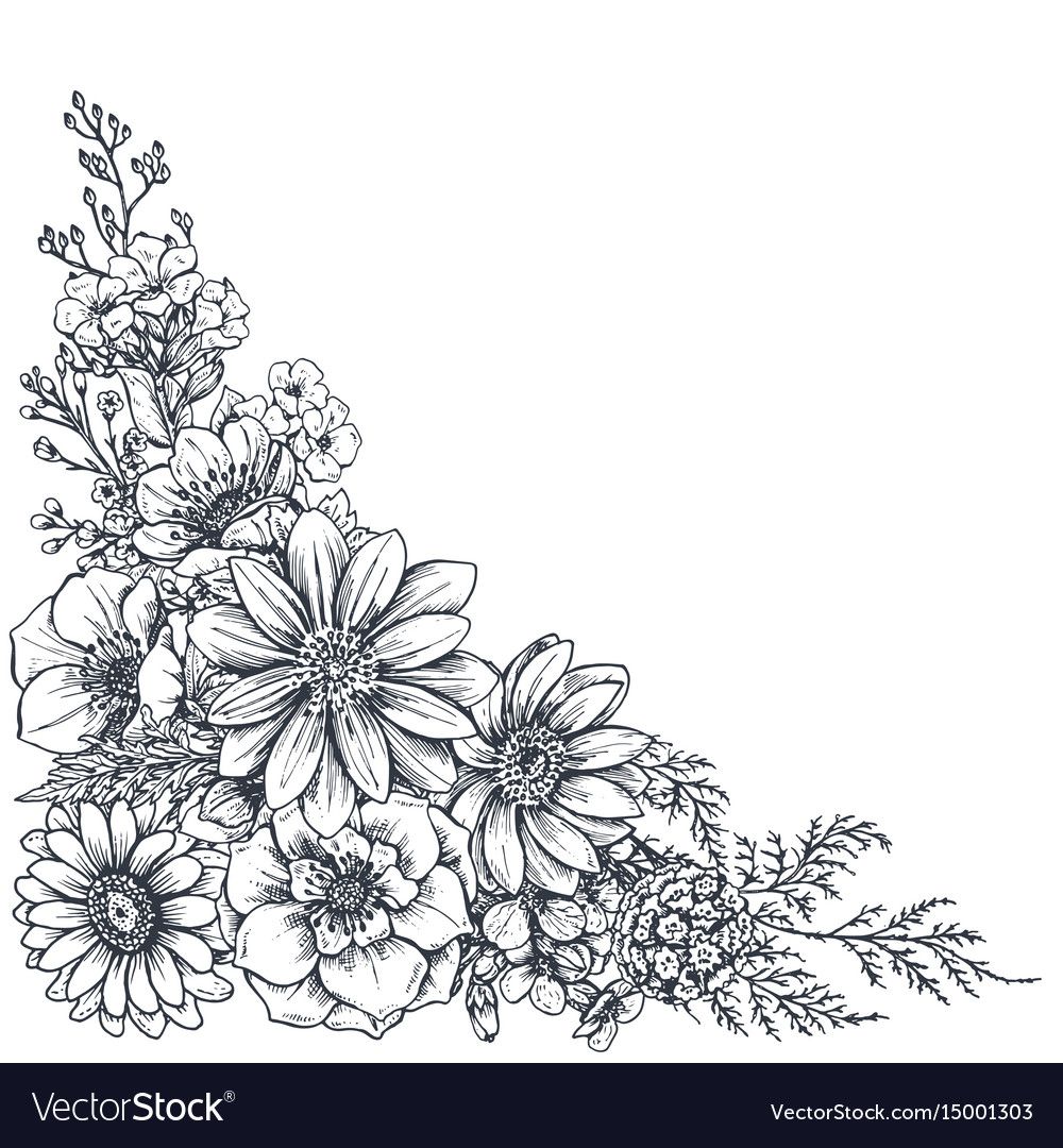 Flower Drawing Background