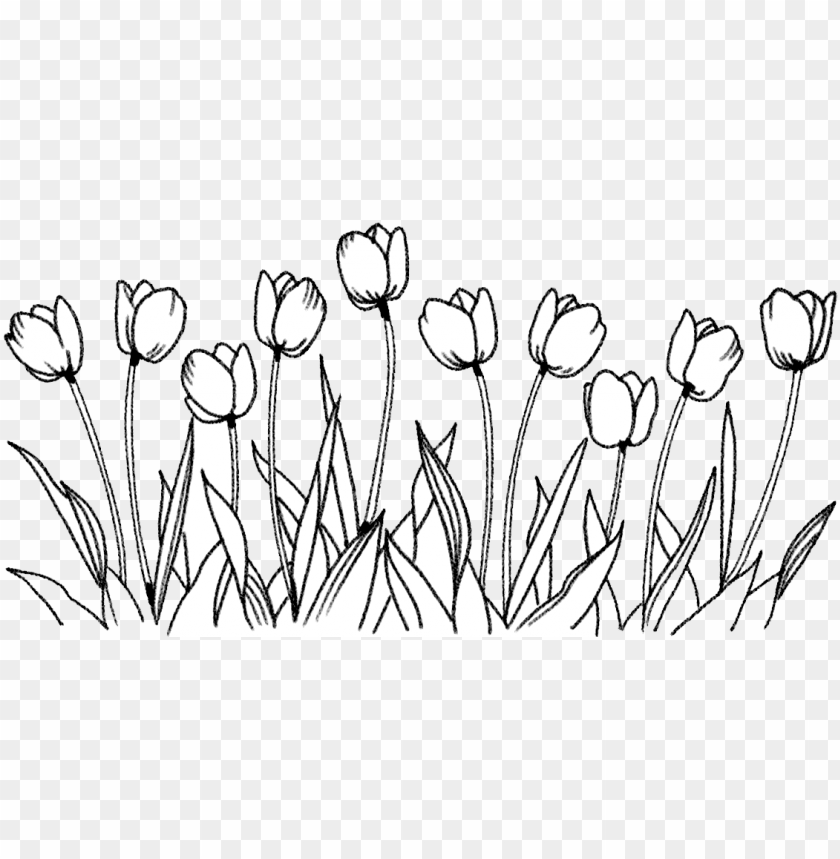 Flower Drawing Background