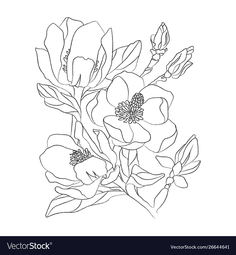 Flower Drawing Background