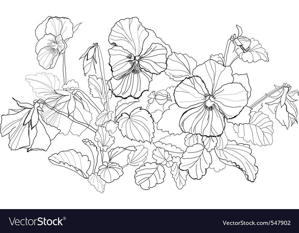 Flower Drawing Background