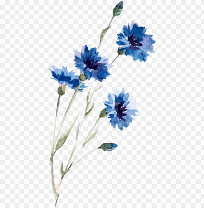 Flower Drawing Background