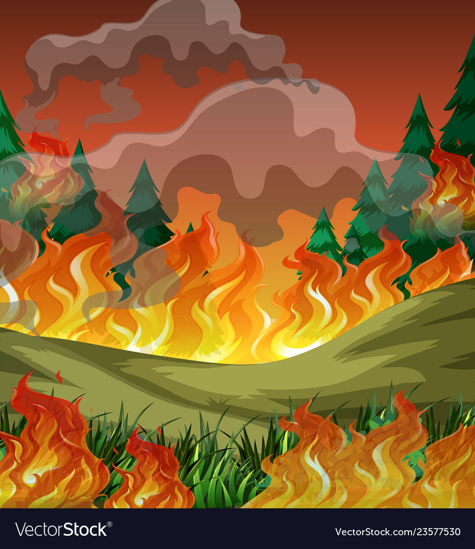 Forest Fire Background