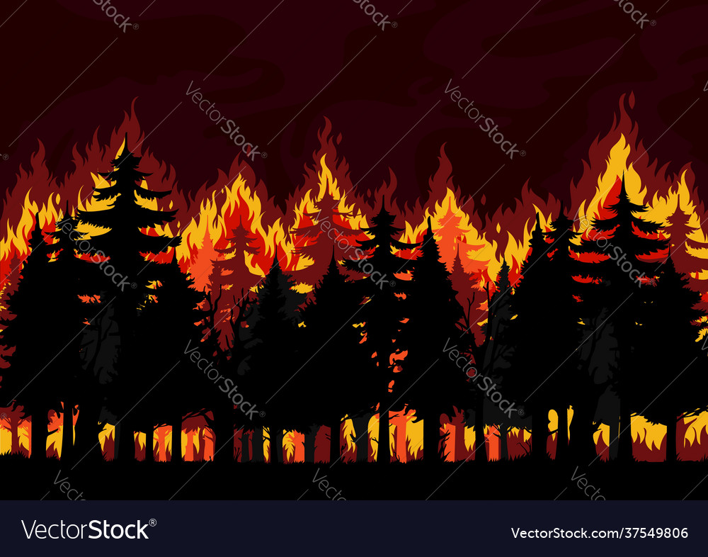 Forest Fire Background