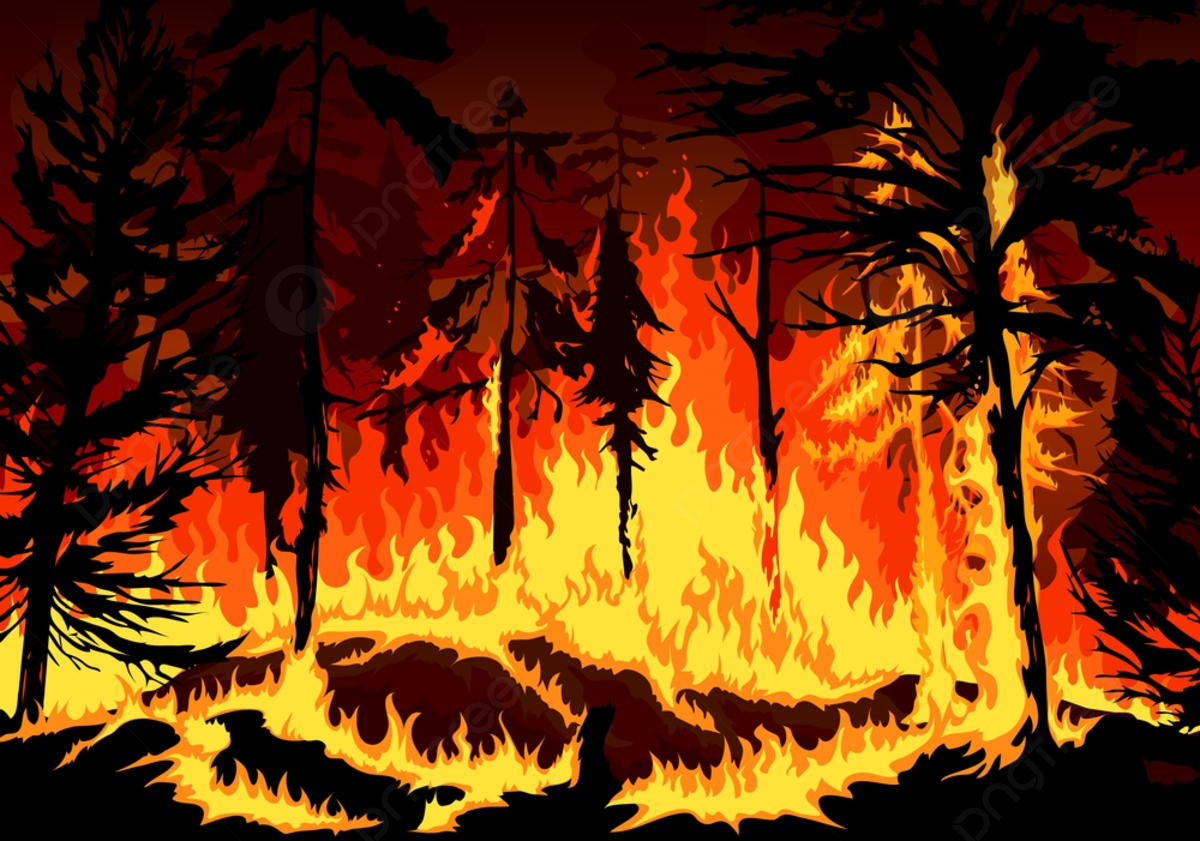 Forest Fire Background