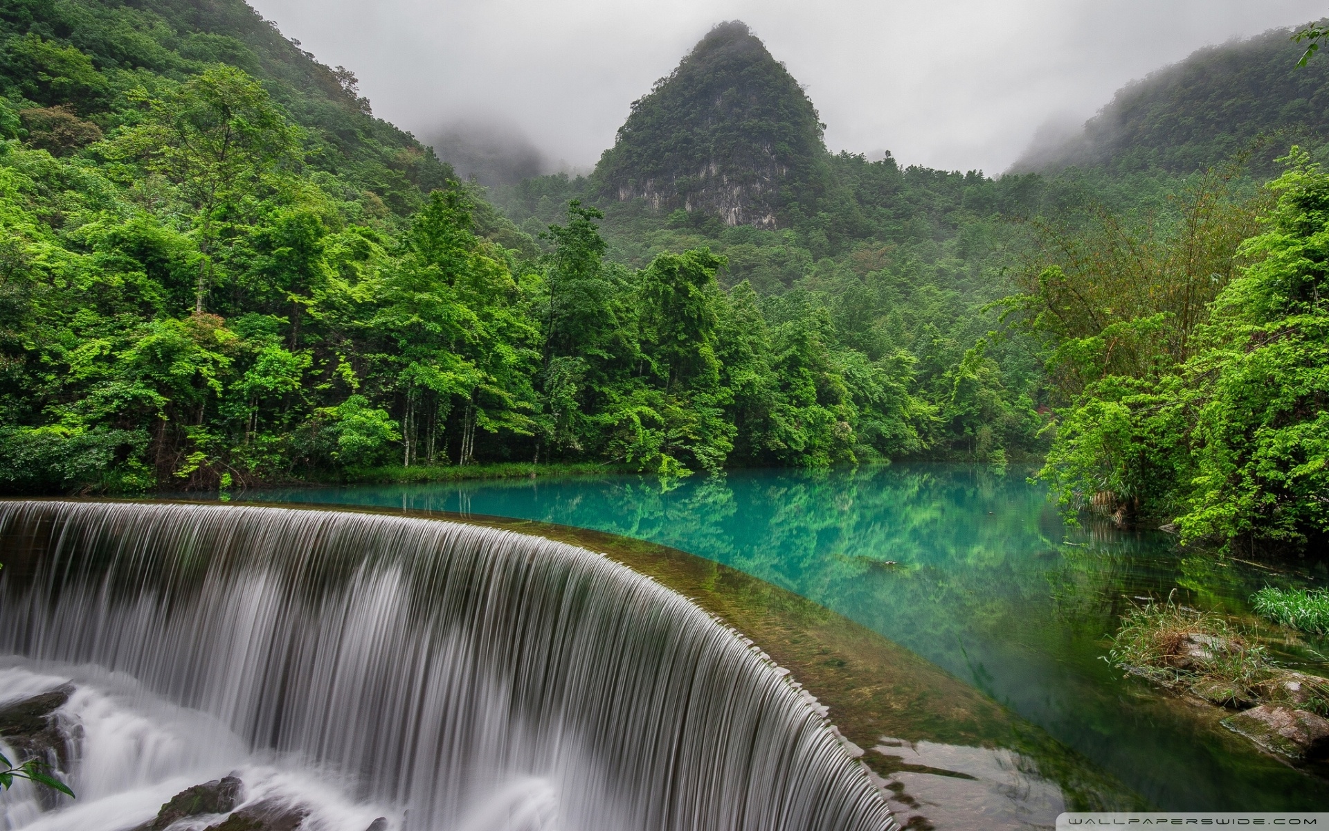 Forest Waterfall Background