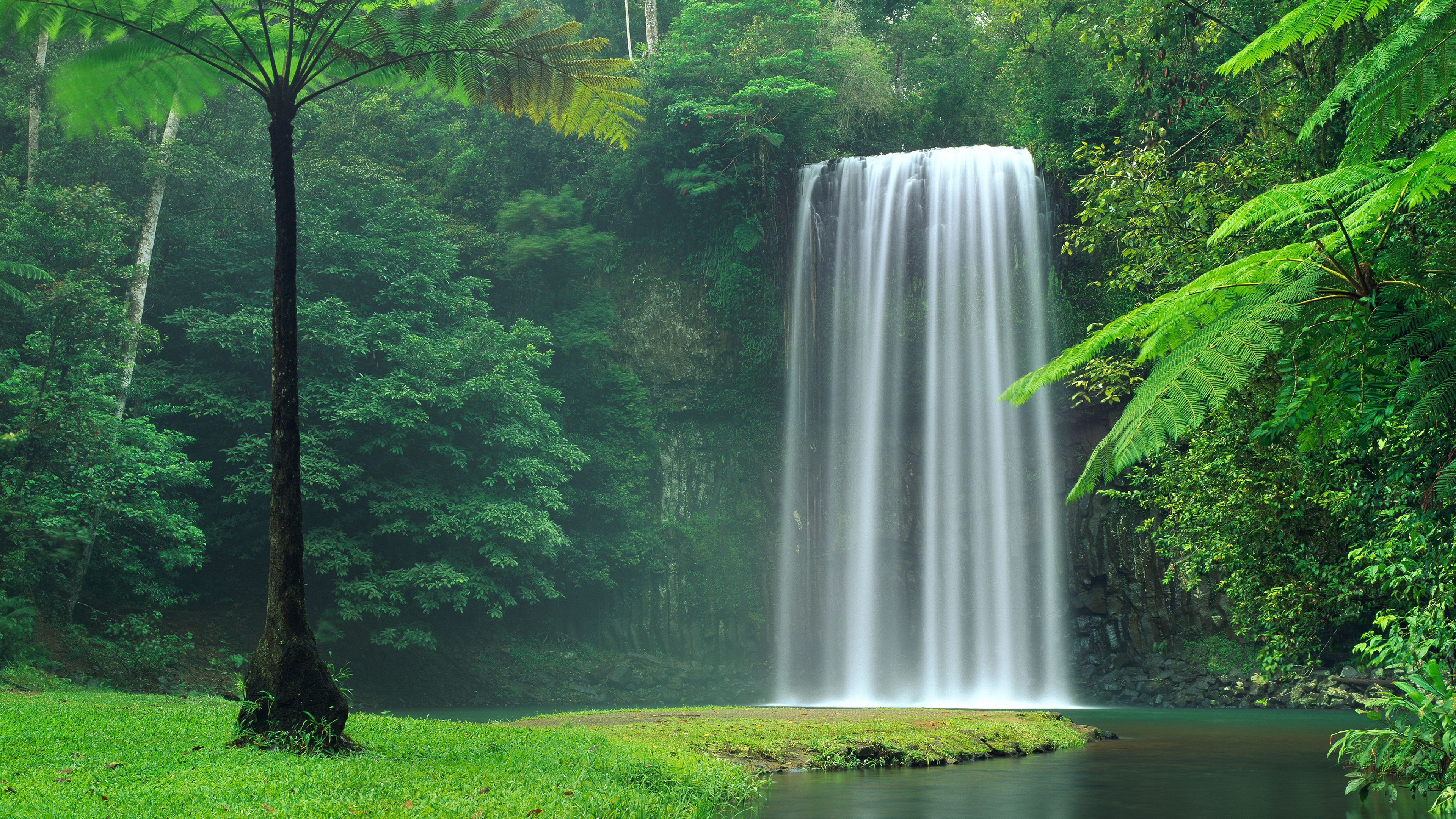 Forest Waterfall Background