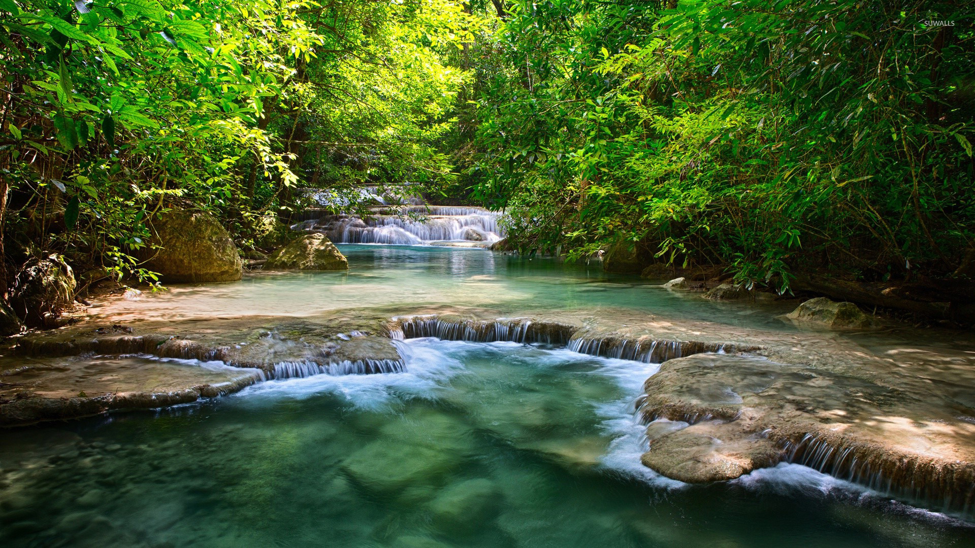 Forest Waterfall Background