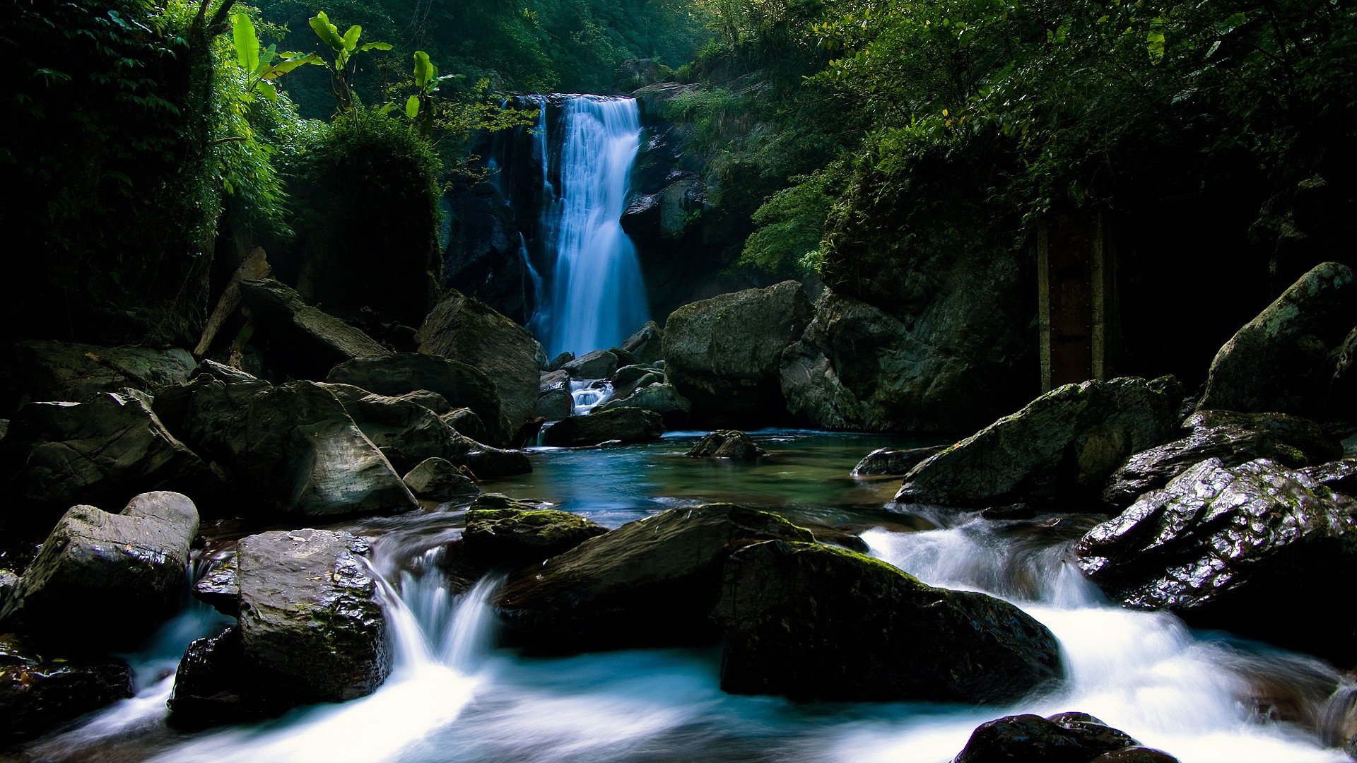 Forest Waterfall Background