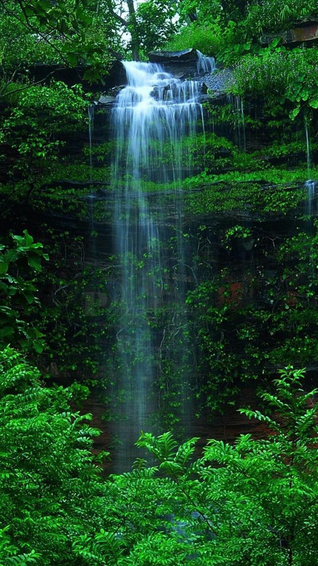 Forest Waterfall Background