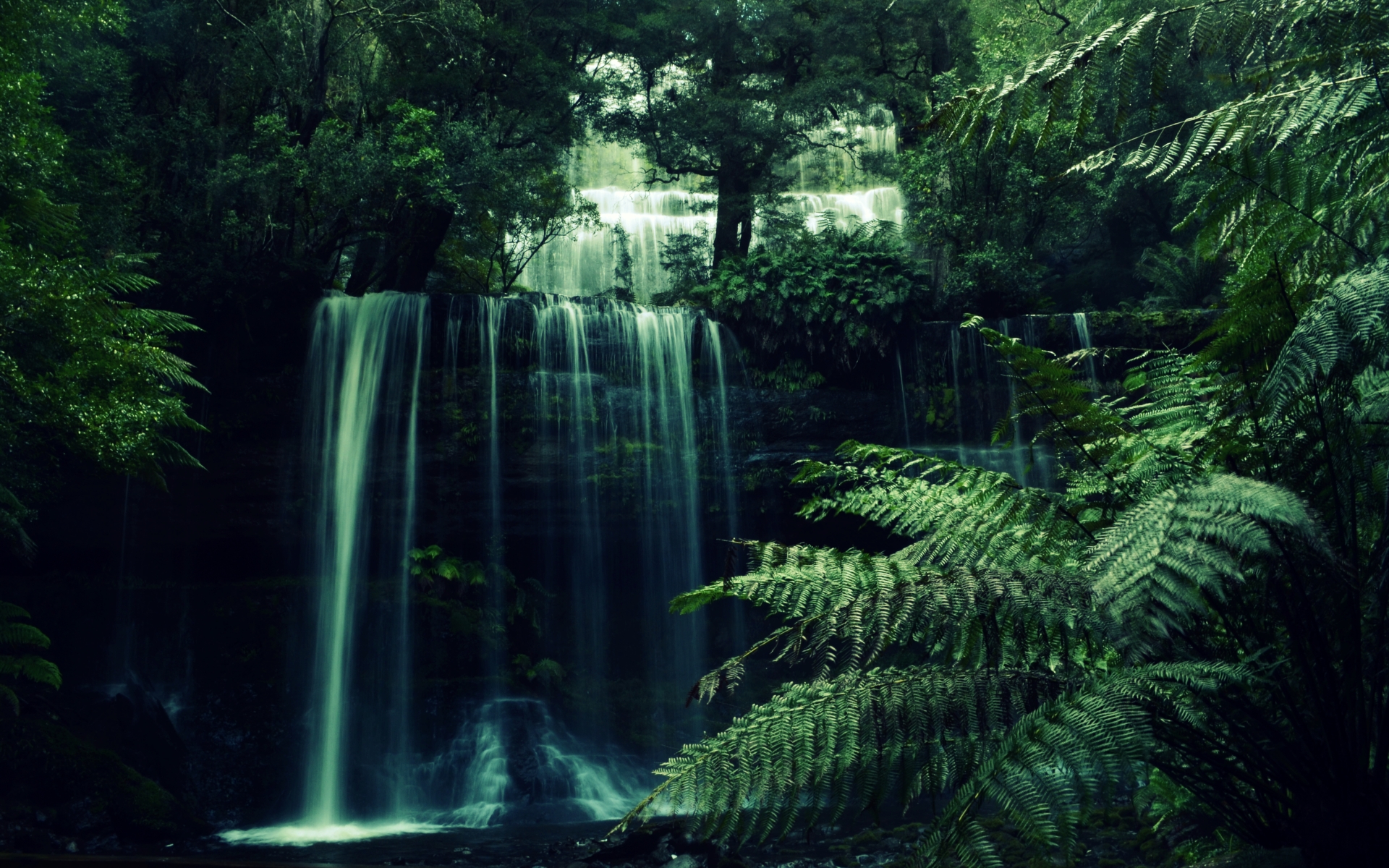 Forest Waterfall Background