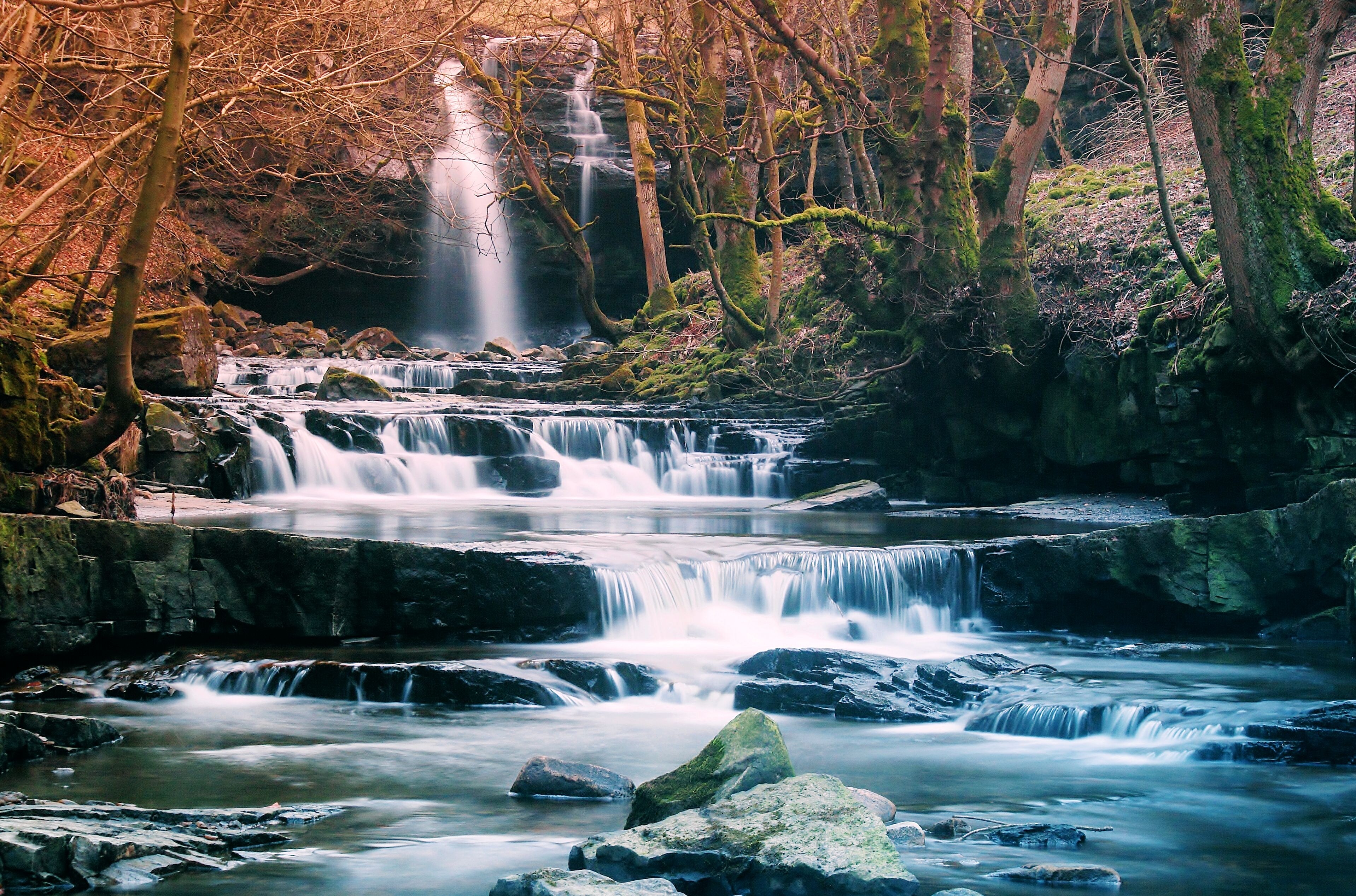 Forest Waterfall Background