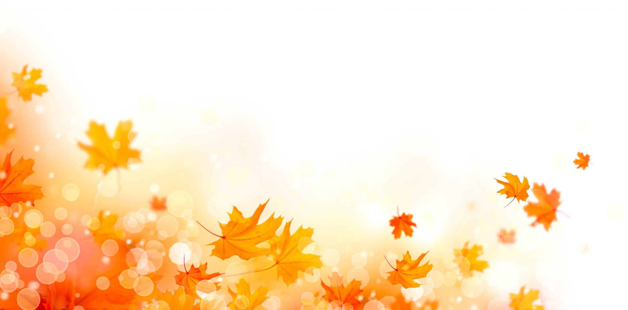 Fun Fall Backgrounds