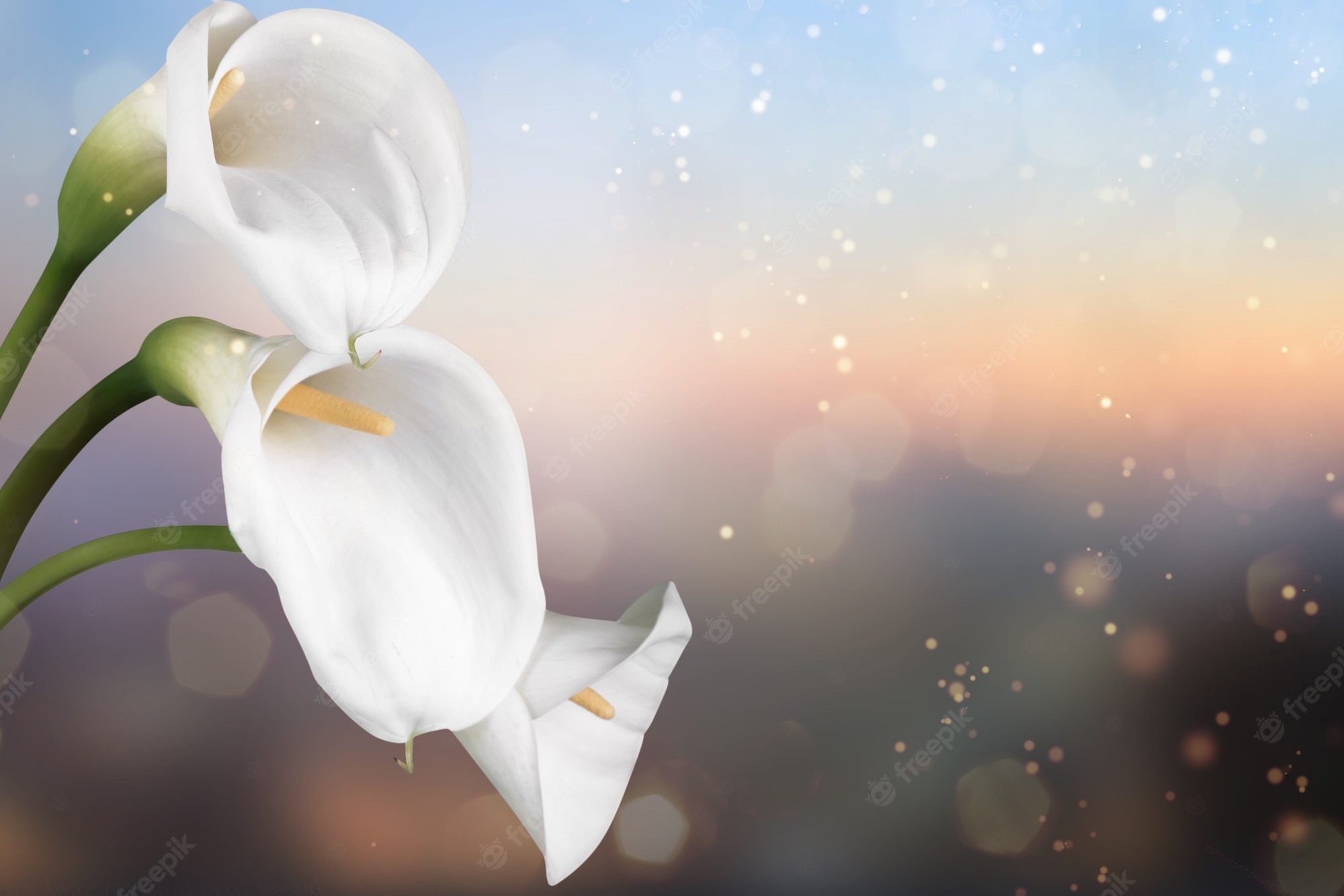 Funeral Backgrounds