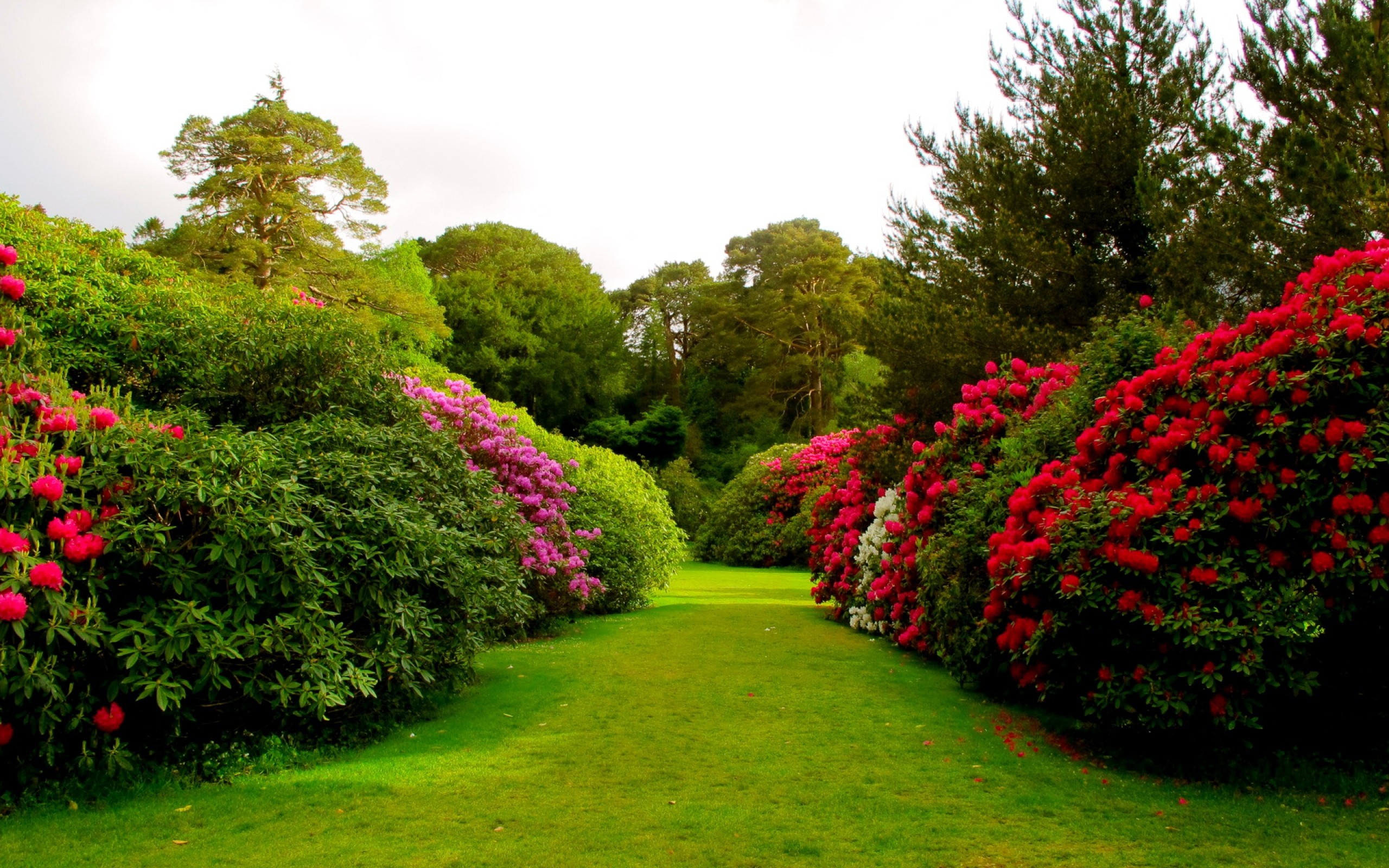 Garden Background