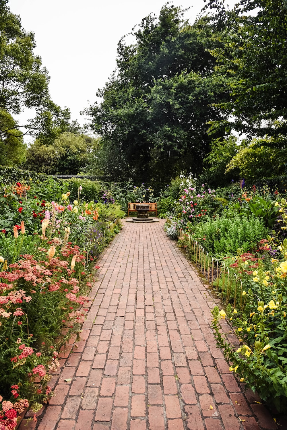 Garden Background