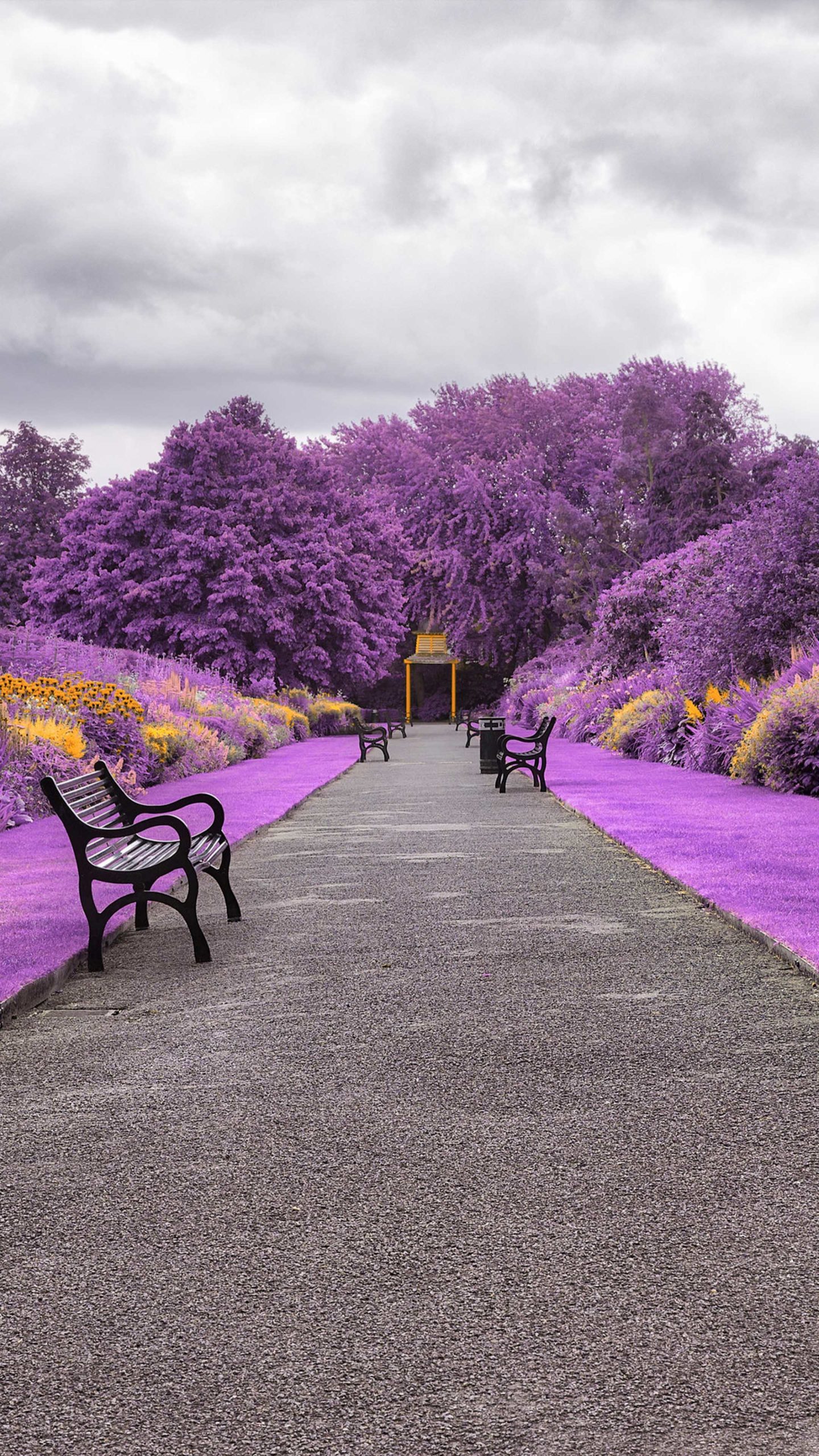 Garden Background