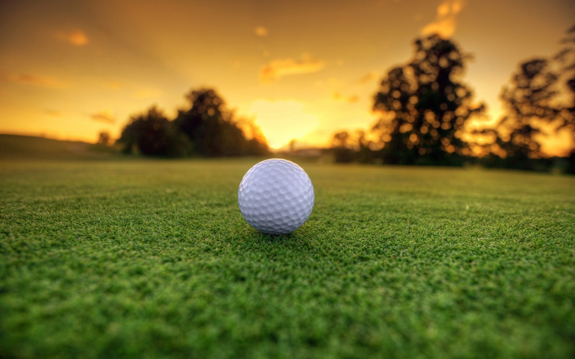 Golf Backgrounds