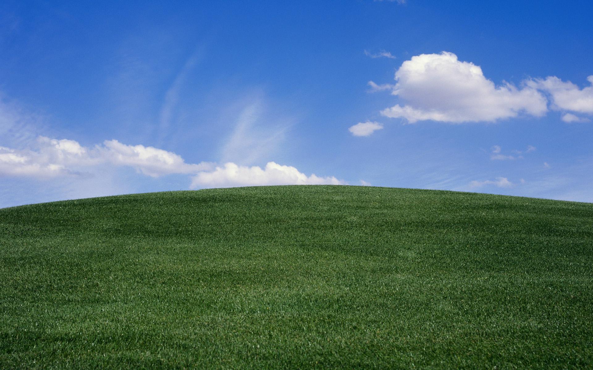 Grassy Hill Background