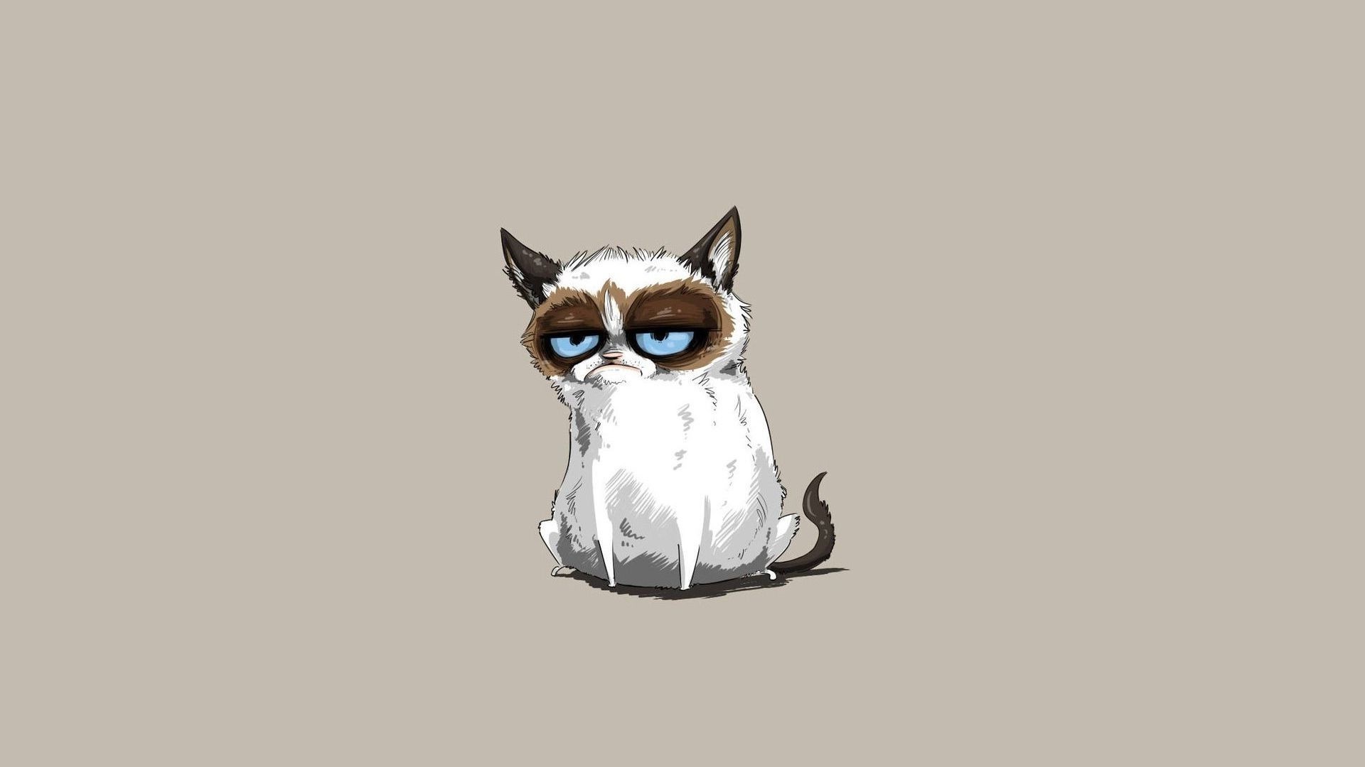 Grumpy Cat Desktop Background