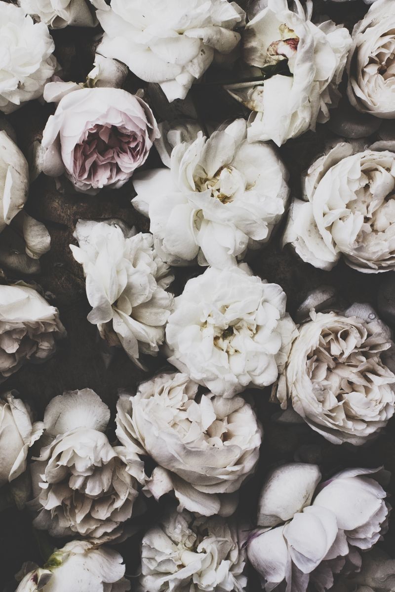 Grunge Flower Background Tumblr