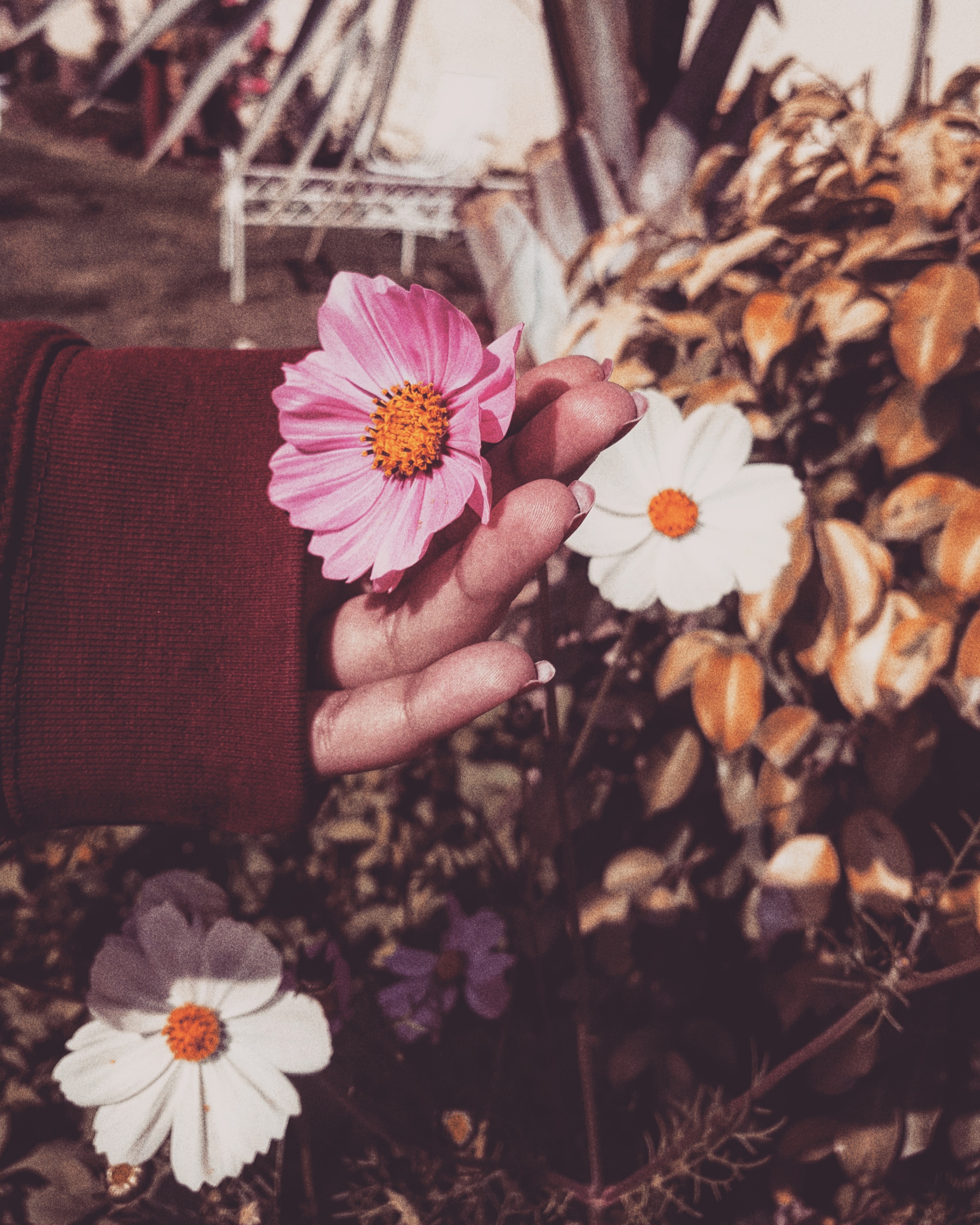 Grunge Flower Background Tumblr