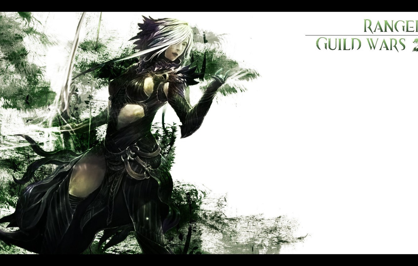 Guild Wars 2 Background