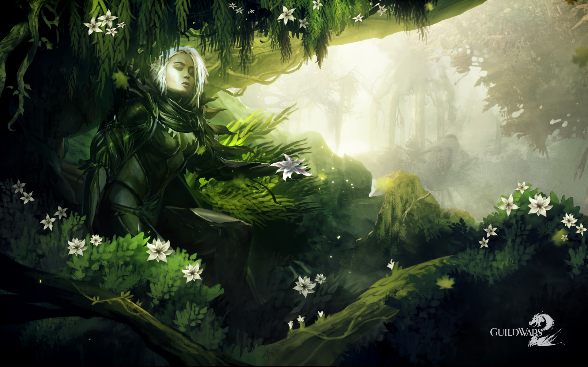 Guild Wars 2 Background